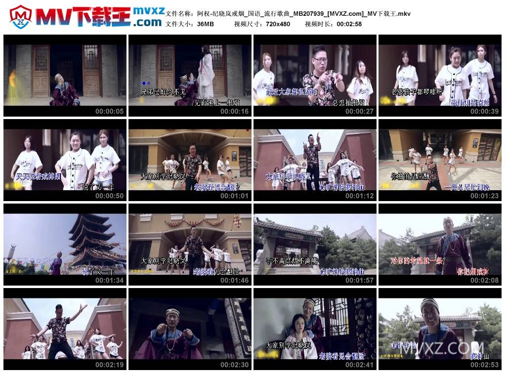 阿权-纪晓岚戒烟_国语_流行歌曲_MB207939